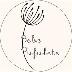 Bebepufulete, Cluj-Napoca program de funcționare