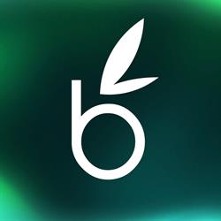 webamboos, Timişoara program de funcționare