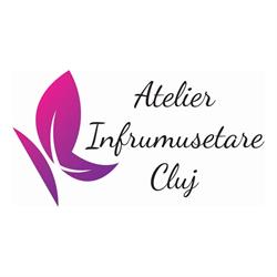 Atelier Infrumusetare, Cluj-Napoca program de funcționare
