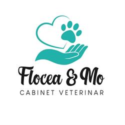 Flocea & Mo, Cluj-Napoca program de funcționare