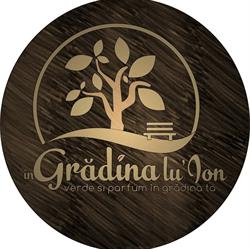 Grădina lu' Ion, Sebeş program de funcționare