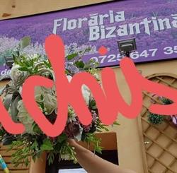 Floraria Bizantina 2, Bucureşti program de funcționare