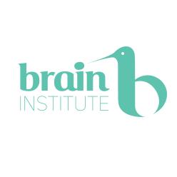 Brain Institute, Bucureşti program de funcționare
