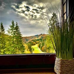 Garden Apart, Predeal program de funcționare