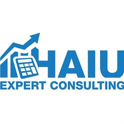 Haiu Expert Consulting SRL, Bucureşti program de funcționare