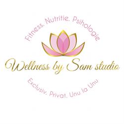 Wellness by Sam Studio, Timişoara program de funcționare