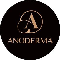 Anoderma Constanta, program de funcționare