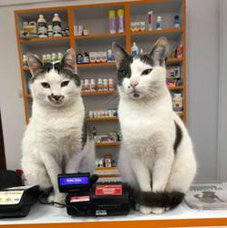 LOUISE VET Farmacie Veterinara, Iaşi program de funcționare
