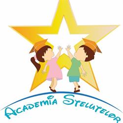 Academia Stelutelor, Timişoara program de funcționare