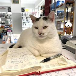 Cabinet veterinar Dr. Susa Ioan, Satu Mare program de funcționare