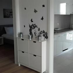 City Gold Apartments, Cluj-Napoca program de funcționare