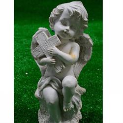 Funerare Puşcaş, Sânnicolau Mare program de funcționare