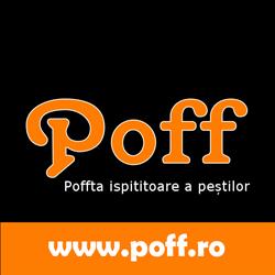 POFF, Satu Mare program de funcționare