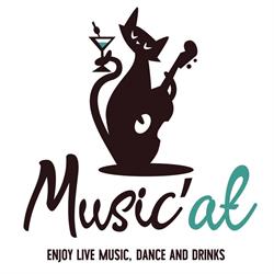 Musi'Cat Pub, Satu Mare program de funcționare