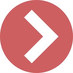 Vector Consulting, Timişoara program de funcționare