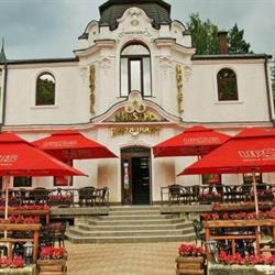 Hotel - Restaurant Maestro, Vatra Dornei program de funcționare