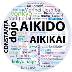 Aikido Aikikai Constanţa, program de funcționare