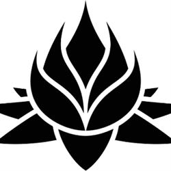 SC Black Lotus Concept SRL, Bucureşti program de funcționare