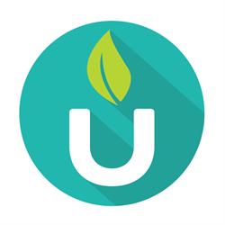 Tea Hugs, Bucureşti program de funcționare