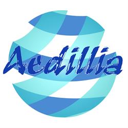 S.C. Aedillia Construct 90 S.R.L., Bucureşti program de funcționare