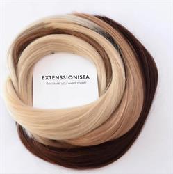 Extenssionista, Timişoara program de funcționare