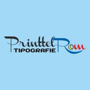 PRINTTEL, Pucioasa program de funcționare