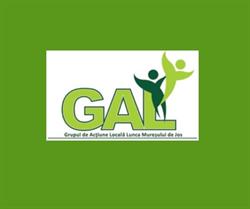 As. G.A.L. "Lunca Mureşului de jos", Pecica program de funcționare