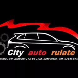 City auto rulate, Satu Mare program de funcționare