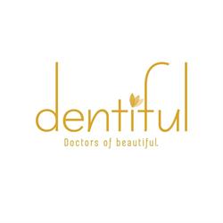 Dentiful. Doctors of Beautiful, Bucureşti program de funcționare