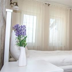 Pensiunea Casa Alexandra, Deva program de funcționare