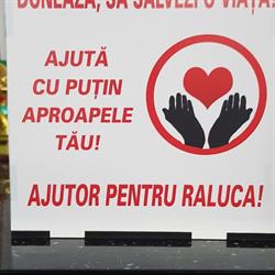 Fit Studio, Deva program de funcționare
