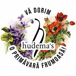 Hudema's S.r.l, Timişoara program de funcționare