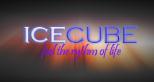 Cube Ice SRL, Breaza program de funcționare