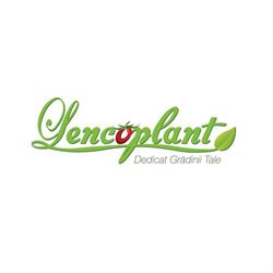 LENCOPLANT IZBICENI, Izbiceni program de funcționare
