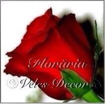 Floraria Veles Decor, Mangalia program de funcționare