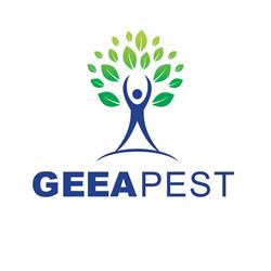 TEHNO GEEAPEST, Dej program de funcționare