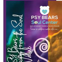 PSY BEARS Soul Center Academy, Braşov program de funcționare