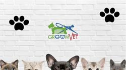 GroomVet - Cosmetica si Frizerie Canina si Felina, servicii Veterinare, Bucureşti program de funcționare