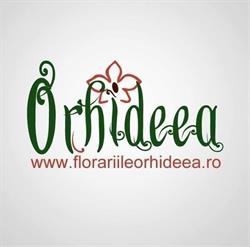 Florăria Orhideea Vaslui, program de funcționare
