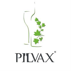 Pilvax, Braşov program de funcționare