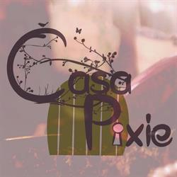 Casa Pixie, Bucureşti program de funcționare