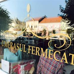 Umeraşul Fermecat, Turda program de funcționare