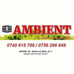 Ambient Saveni, program de funcționare