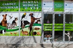 Dental Medical Vet, Bucureşti program de funcționare