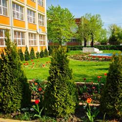 Scoala Gimnazială 'Mihai Eminescu' Roşiorii de Vede, Roşiori de Vede program de funcționare