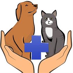 Sanivet, Iaşi program de funcționare