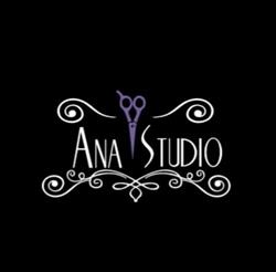 Ana Studio, Floreşti program de funcționare