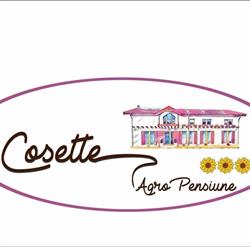 AgroPensiune Cosette, Benic program de funcționare