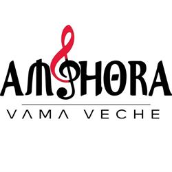 Amphora Vama Veche, program de funcționare