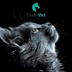 Cabinet veterinar si Salon toaletaj TASHI VET, Cluj-Napoca program de funcționare